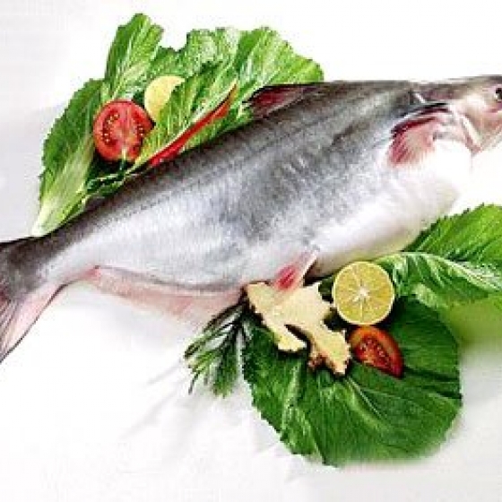 Cá tra nguyên con bỏ nội tạng